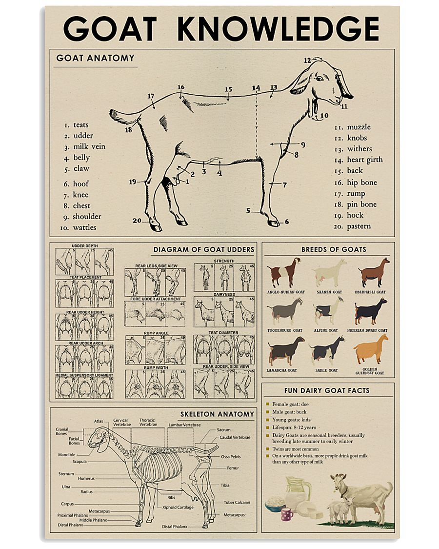 Goat Knowledge Wrapped Canvas Prints - No Frame - Goat lovers
