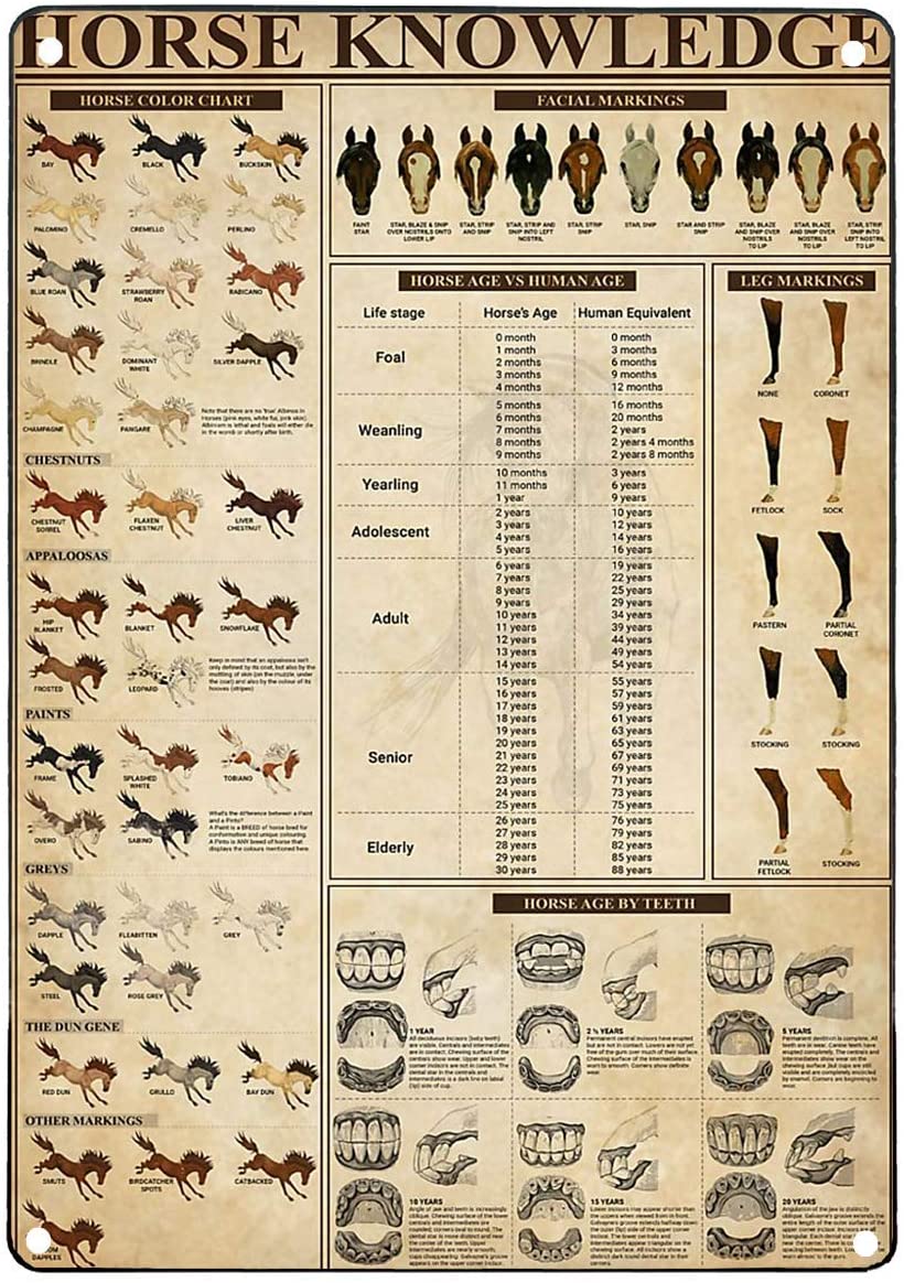 Horse Knowledge Vintage Metal Signs - myfunfarm