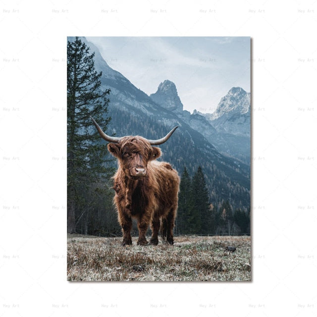Highland Cow Wall Art canvas print - myfunfarm