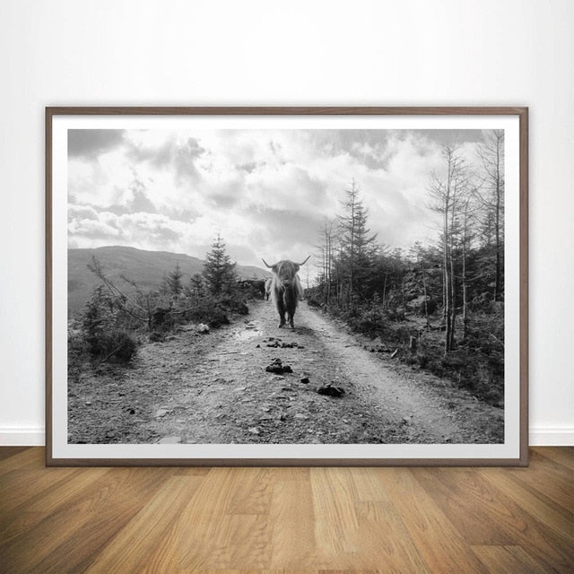 Black and White Highland Cow Wall Canvas Art Print Wall - myfunfarm