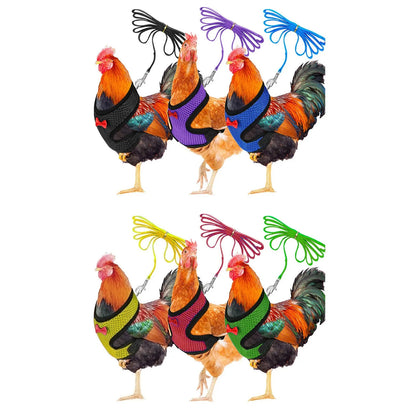 Chicken Hen Size With 6-foot Matching Belt Comfortable Breathable Medium Adjustable Chicken Harness Hen Size Convenient - myfunfarm