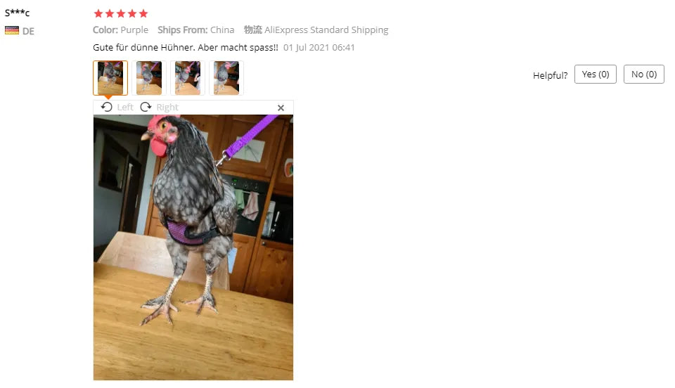 Chicken Hen Size With 6-foot Matching Belt Comfortable Breathable Medium Adjustable Chicken Harness Hen Size Convenient - myfunfarm