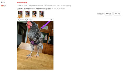 Chicken Hen Size With 6-foot Matching Belt Comfortable Breathable Medium Adjustable Chicken Harness Hen Size Convenient - myfunfarm