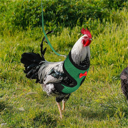 Chicken Hen Size With 6-foot Matching Belt Comfortable Breathable Medium Adjustable Chicken Harness Hen Size Convenient - myfunfarm