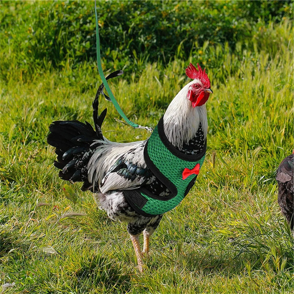 Chicken Hen Size With 6-foot Matching Belt Comfortable Breathable Medium Adjustable Chicken Harness Hen Size Convenient