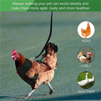 Chicken Hen Size With 6-foot Matching Belt Comfortable Breathable Medium Adjustable Chicken Harness Hen Size Convenient - myfunfarm