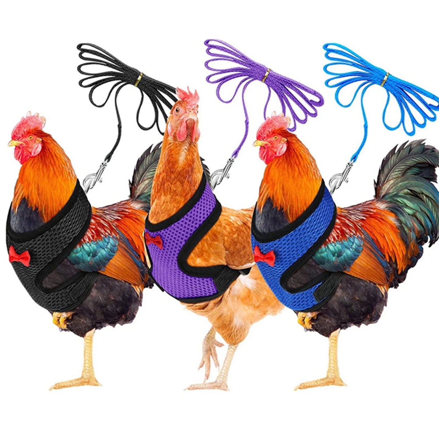 Chicken Hen Size With 6-foot Matching Belt Comfortable Breathable Medium Adjustable Chicken Harness Hen Size Convenient - myfunfarm