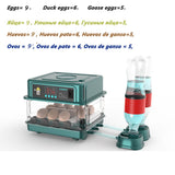 9/15/24/30 Brooder Eggs Incubator Fully Automatic  for Chicken Goose Quail Auto Turner Equipment Hatchery Poultry Tools