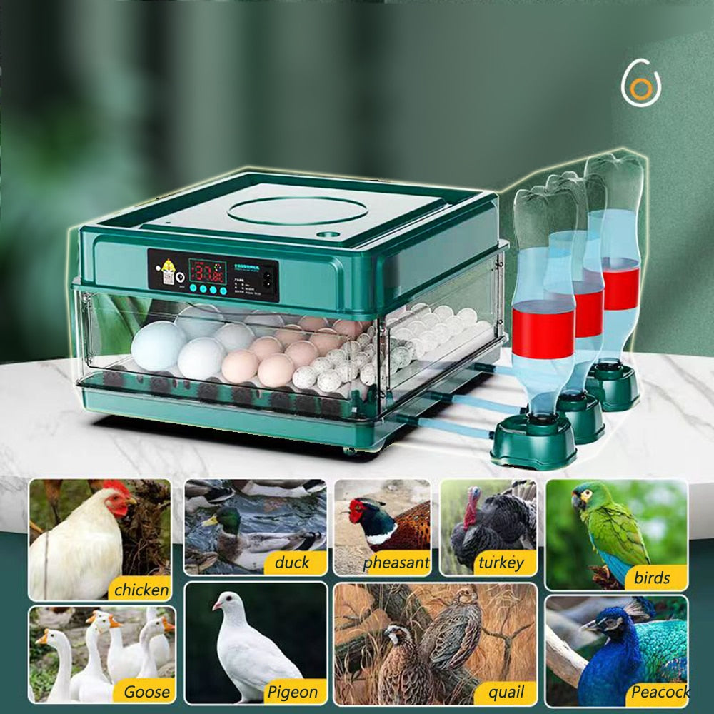 9/15/24/30 Brooder Eggs Incubator Fully Automatic  for Chicken Goose Quail Auto Turner Equipment Hatchery Poultry Tools - myfunfarm