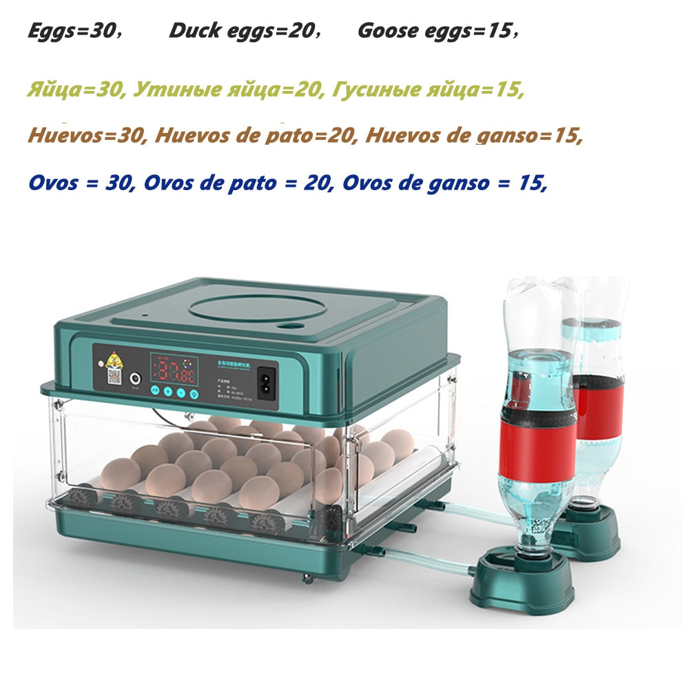 9/15/24/30 Brooder Eggs Incubator Fully Automatic  for Chicken Goose Quail Auto Turner Equipment Hatchery Poultry Tools - myfunfarm