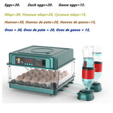 9/15/24/30 Brooder Eggs Incubator Fully Automatic  for Chicken Goose Quail Auto Turner Equipment Hatchery Poultry Tools