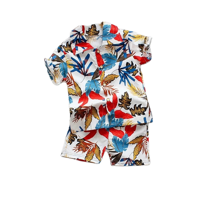 1-6 Year Children Set Hawaiian shirt and Shorts Floral Printed - myfunfarm