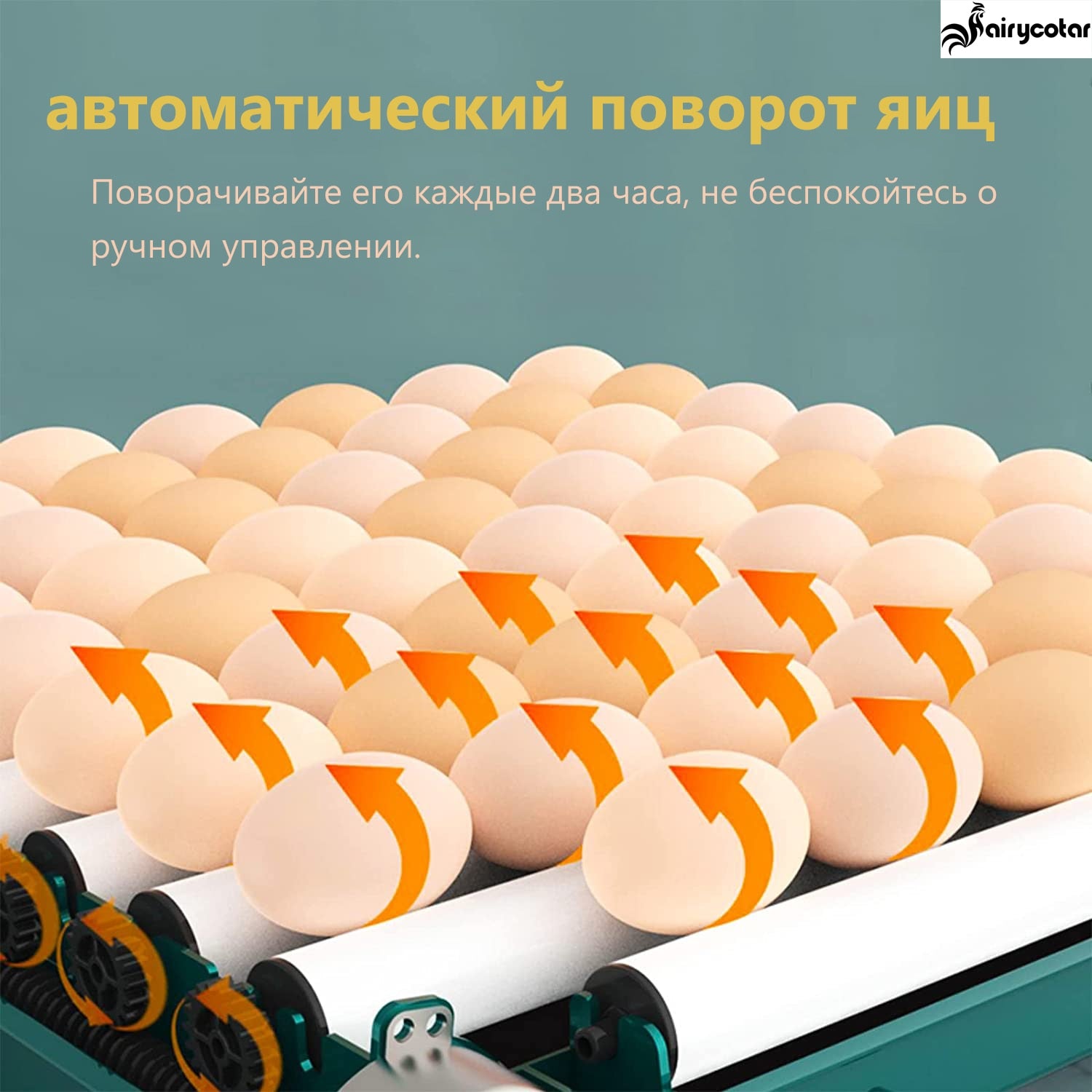 9/15/24/30 Brooder Eggs Incubator Fully Automatic  for Chicken Goose Quail Auto Turner Equipment Hatchery Poultry Tools - myfunfarm