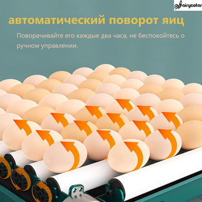 9/15/24/30 Brooder Eggs Incubator Fully Automatic  for Chicken Goose Quail Auto Turner Equipment Hatchery Poultry Tools - myfunfarm