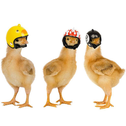 Funny Chicken Helmet Bird Protect Cap Sun Rain Protection Helmet DIY Small Pet Accessories Small Pet Protective Gear Supplies