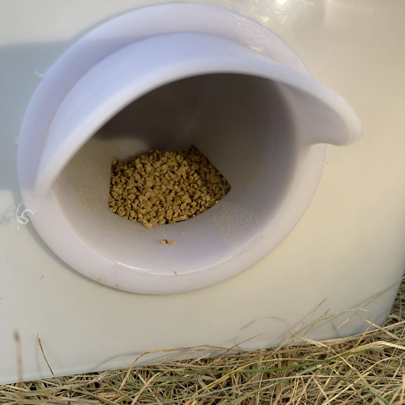 DIY Chicken Pro Feeder Pigeon Feeder Port Gravity Feed Plastic Kit Buckets Barrels Bins Troughs Farm Poultry Feeding Supplies - myfunfarm