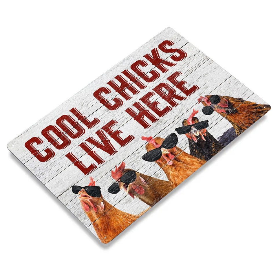 1pc Vintage Metal Signs Cool Chicks Live Here  Decor Yard Hen House