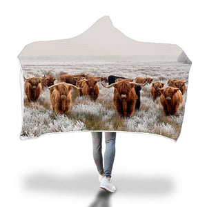 Highland Cow in snow - Hooded Blanket - Cow Lovers