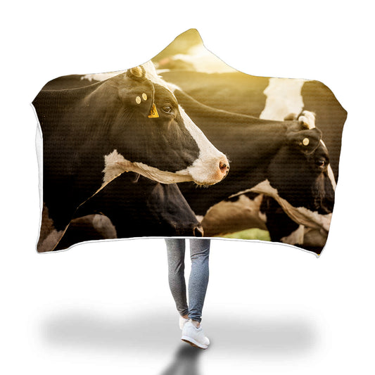 Cute Cow in sunset - Hooded Blanket - Cow Lovers - myfunfarm