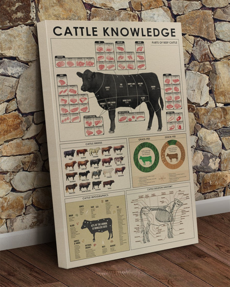 Cattle knowledge  Gallery Wrapped Canvas Prints