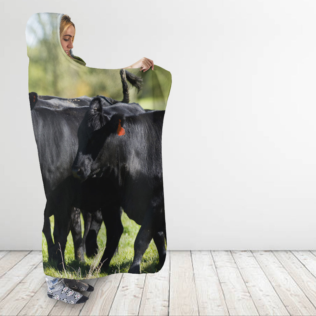 Cute Angus cattle - Hooded Blanket - Cow Lovers - myfunfarm
