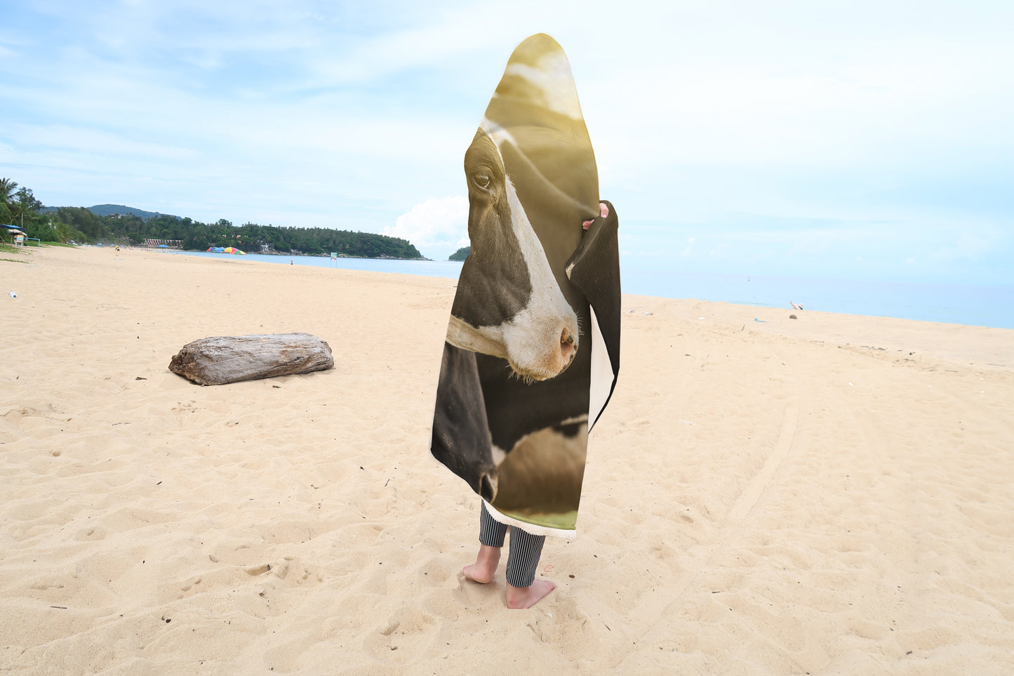 Cute Cow in sunset - Hooded Blanket - Cow Lovers - myfunfarm