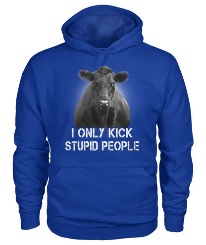 i only kick stupid people   - Men's and Women's t-shirt , Hoodies - myfunfarm