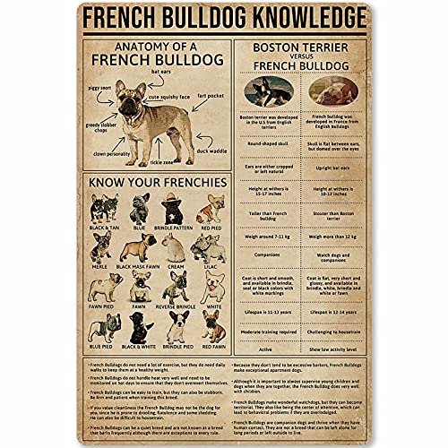 Chicken Knowledge Metal Tin Sign Wall Decoration