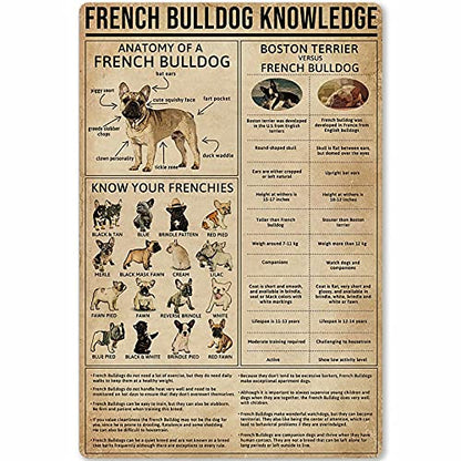 Chicken Knowledge Metal Tin Sign Wall Decoration