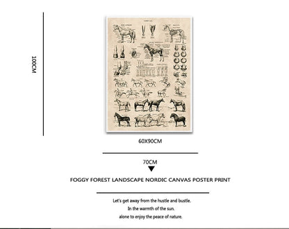 Horse Anatomy Chart Prints Canvas Wall Art Decor - myfunfarm