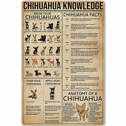 Chicken Knowledge Metal Tin Sign Wall Decoration