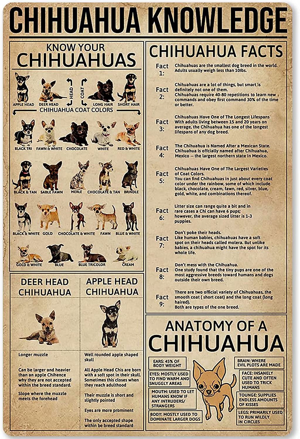 Chicken Knowledge Metal Tin Sign Wall Decoration