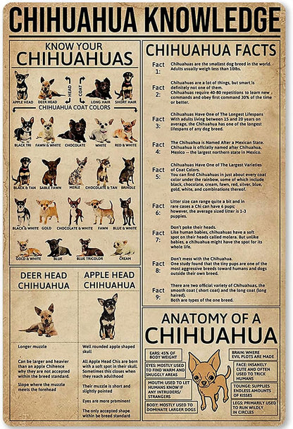 Chicken Knowledge Metal Tin Sign Wall Decoration
