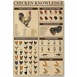Chicken Knowledge Metal Tin Sign Wall Decoration