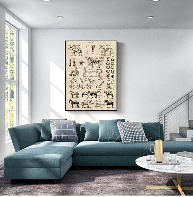 Horse Anatomy Chart Prints Canvas Wall Art Decor - myfunfarm