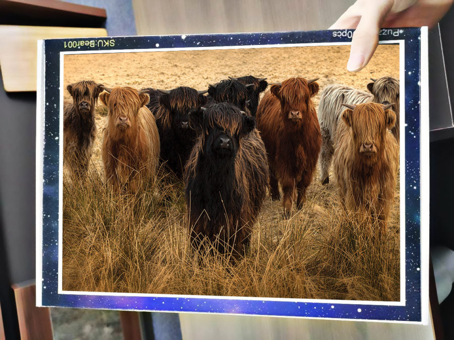 Highland cattle print Puzzle 500pcs and 1000pcs - myfunfarm - clothing acceessories shoes for cow lovers, pig, horse, cat, sheep, dog, chicken, goat farmer