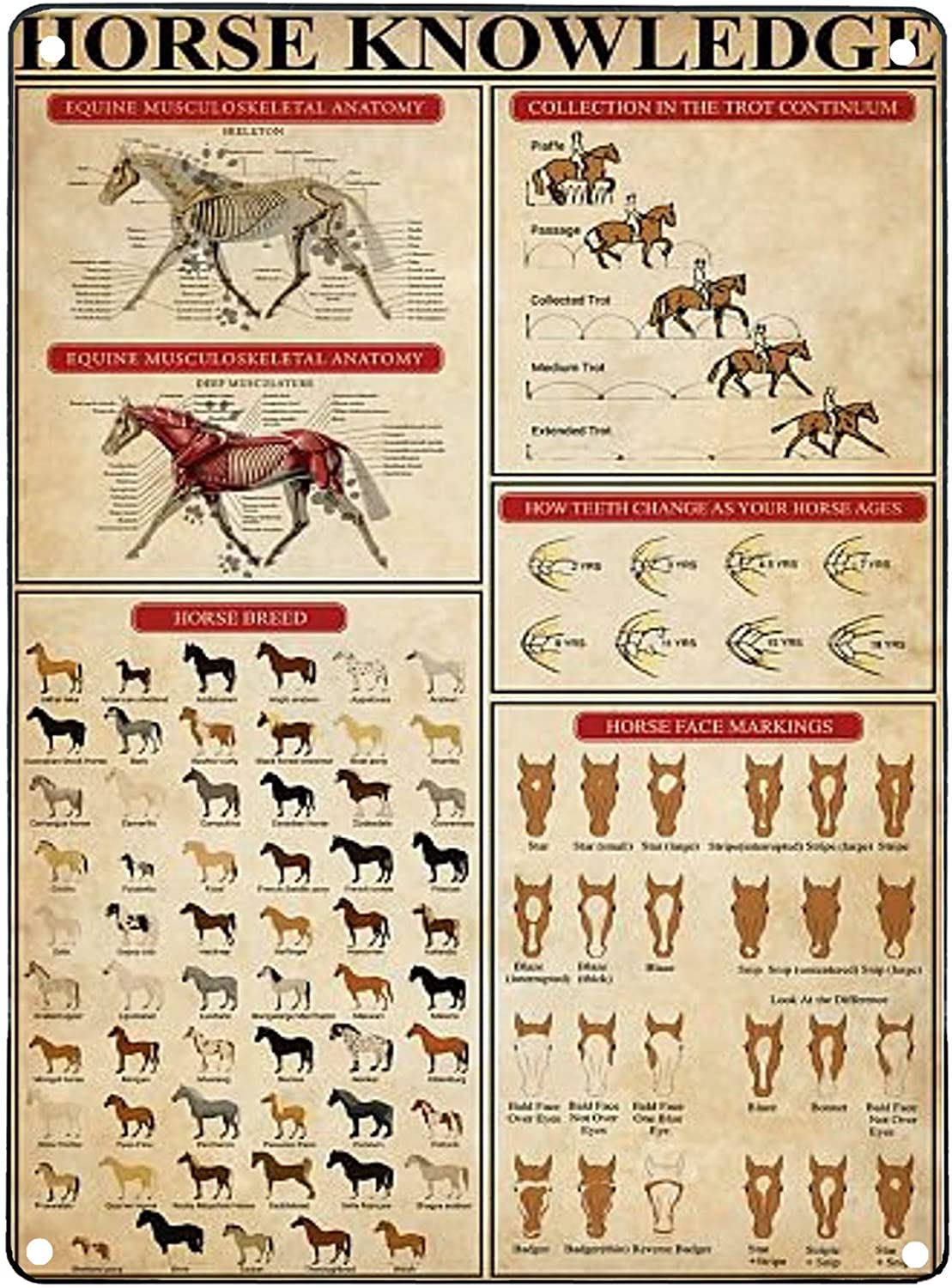 Horse Knowledge Vintage Metal Signs - myfunfarm