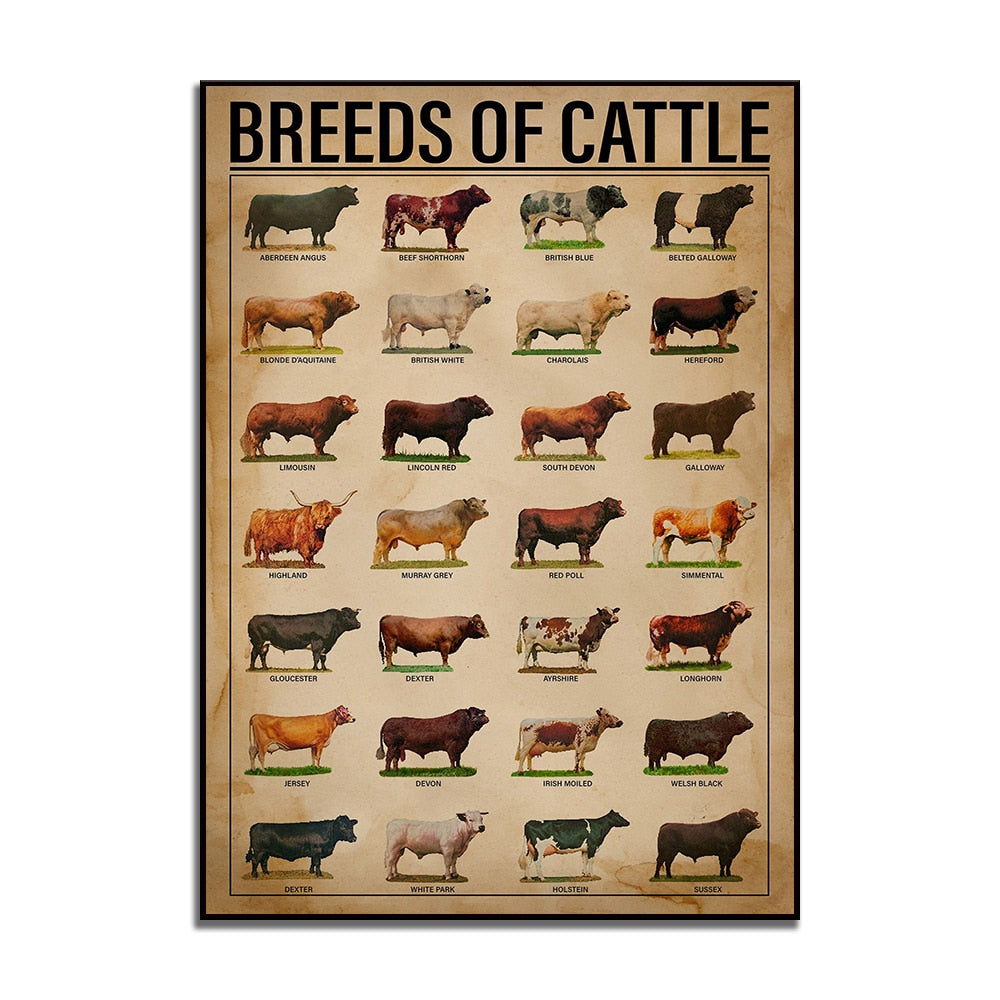 Cattle breeds print vintage vertical poster
