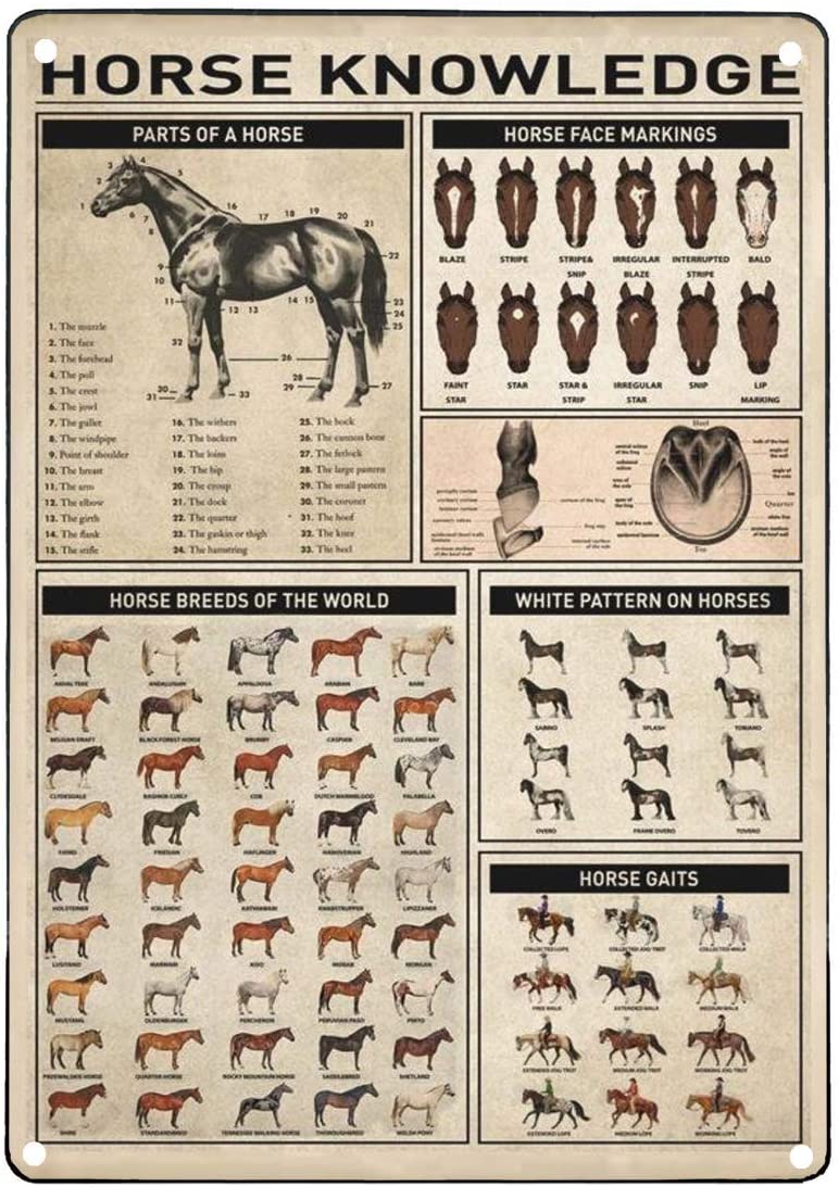 Horse Knowledge Vintage Metal Signs - myfunfarm