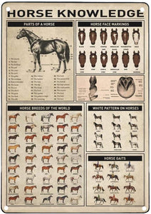 Horse Knowledge Vintage Metal Signs