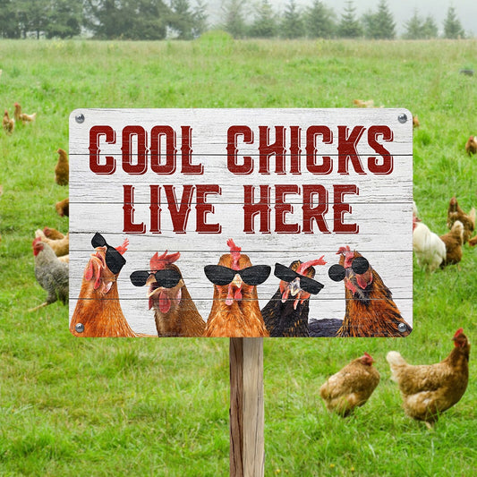 1pc Vintage Metal Signs Cool Chicks Live Here  Decor Yard Hen House