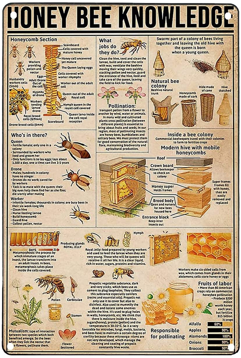 Horse Knowledge Vintage Metal Signs - myfunfarm