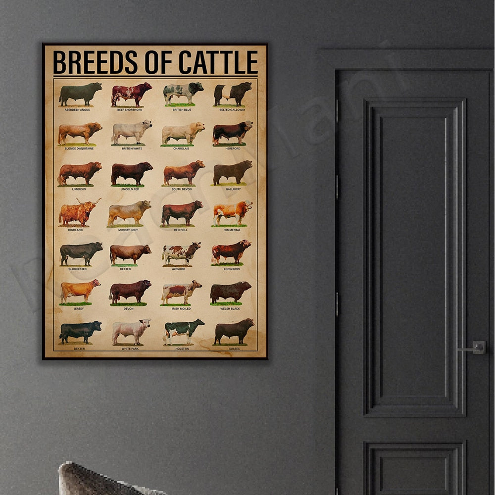 Cattle breeds print vintage vertical poster