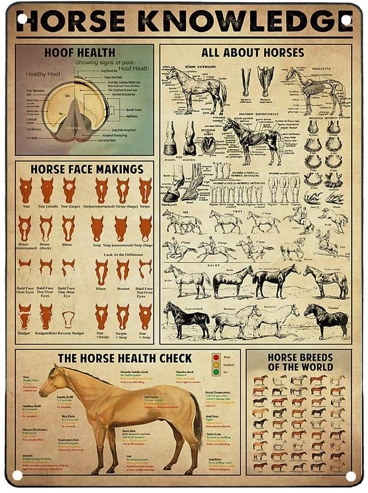 Horse Knowledge Vintage Metal Signs