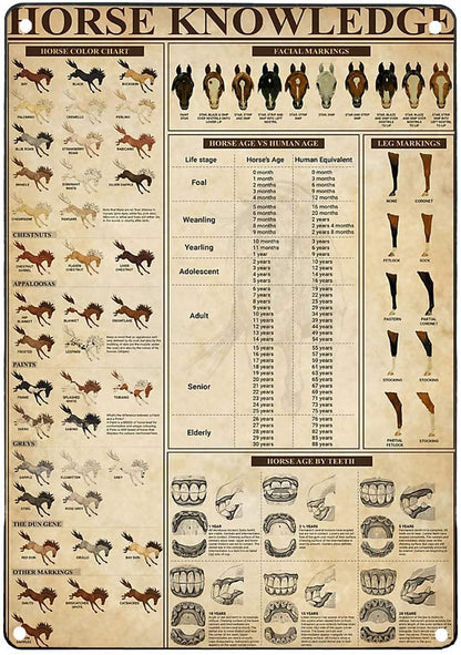 Horse Knowledge Vintage Metal Signs - myfunfarm