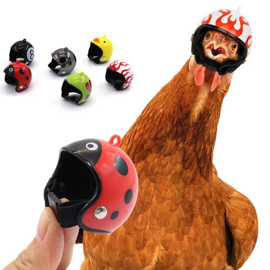 Funny Chicken Helmet Bird Protect Cap Sun Rain Protection Helmet DIY Small Pet Accessories Small Pet Protective Gear Supplies