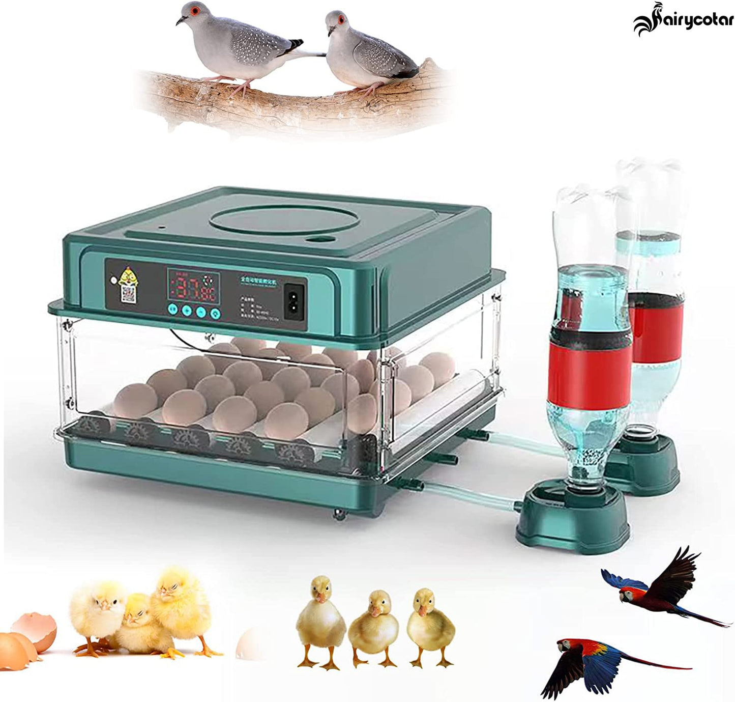 9/15/24/30 Brooder Eggs Incubator Fully Automatic  for Chicken Goose Quail Auto Turner Equipment Hatchery Poultry Tools - myfunfarm
