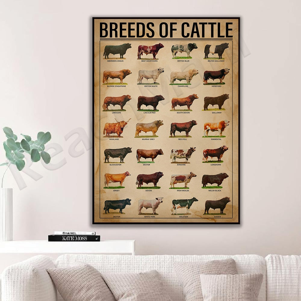 Cattle breeds print vintage vertical poster