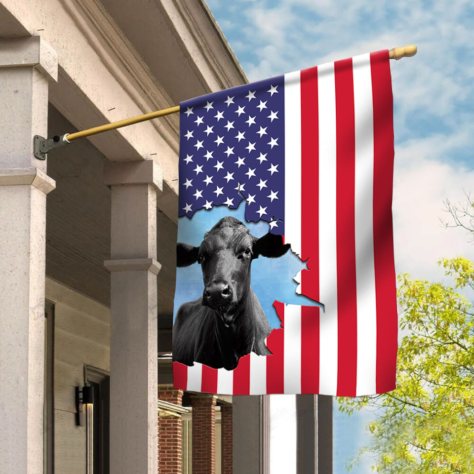 Flag cow print - USA