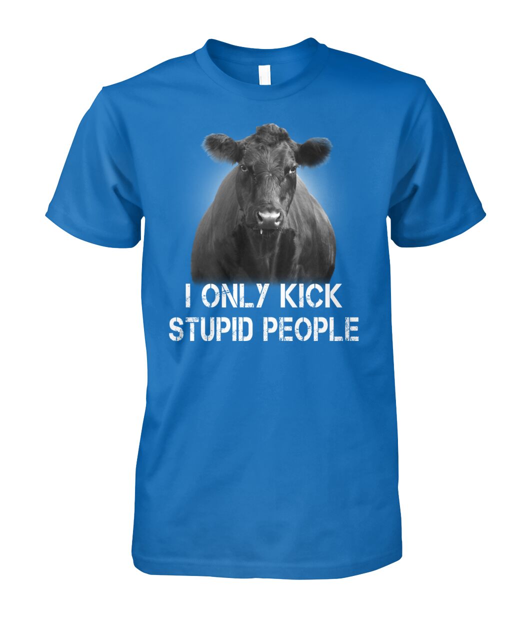 i only kick stupid people   - Men's and Women's t-shirt , Hoodies - myfunfarm